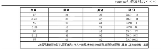 TX0309英范POLO衫(图1)